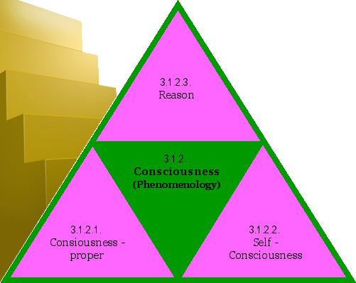 Consciousness (Phenomenology)